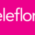 20% off Spring Flower Collection